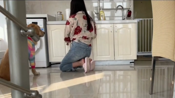 1104230