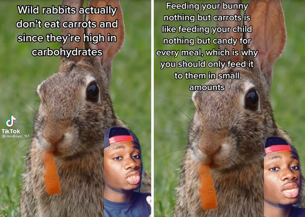 1106264
