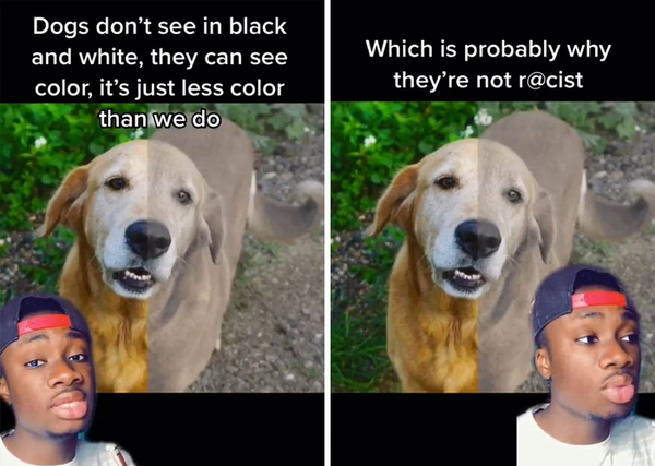 1106266