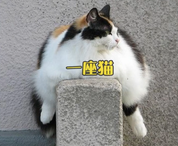 1106301