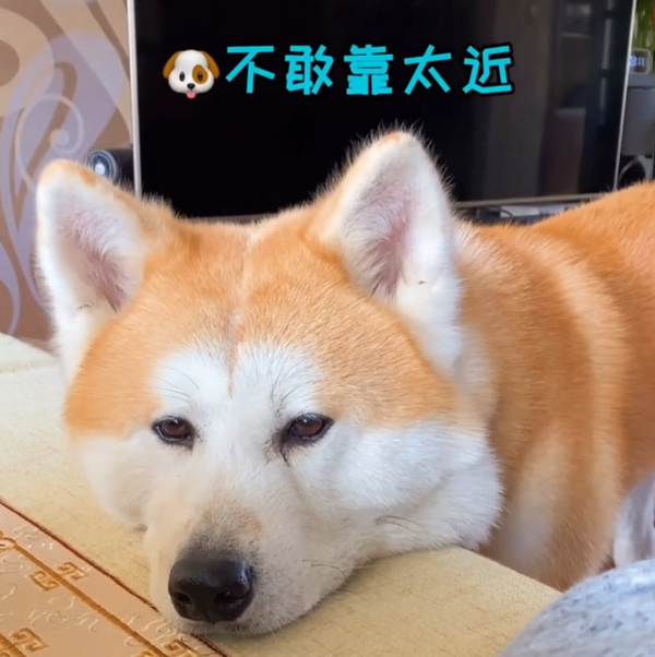 1107777