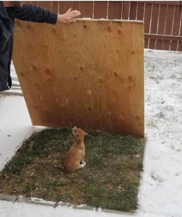 1112376