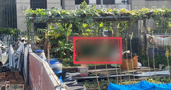 街友不敵低溫凍死在菜園內