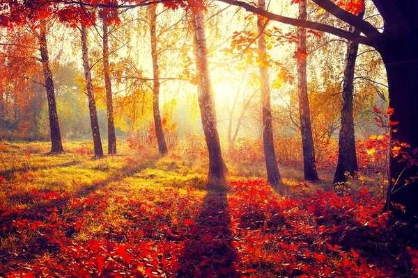 37158
