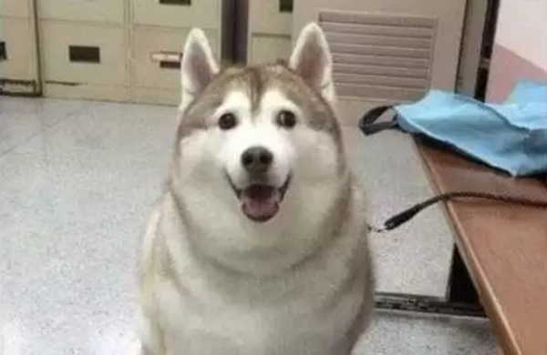 443737