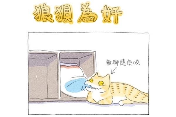 49707