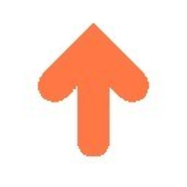 52954