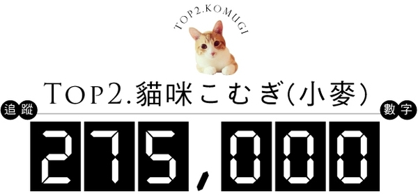 73812