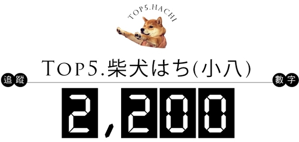 74305
