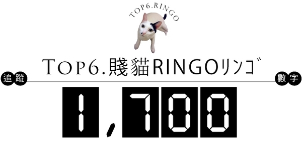 74307